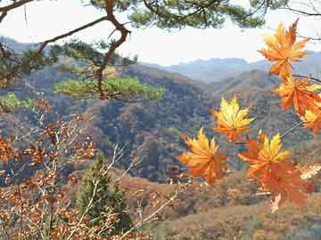 牛屯镇最新领导，引领发展，塑造未来