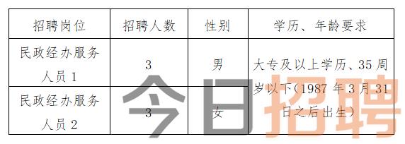 遂昌县统计局最新招聘启事概览