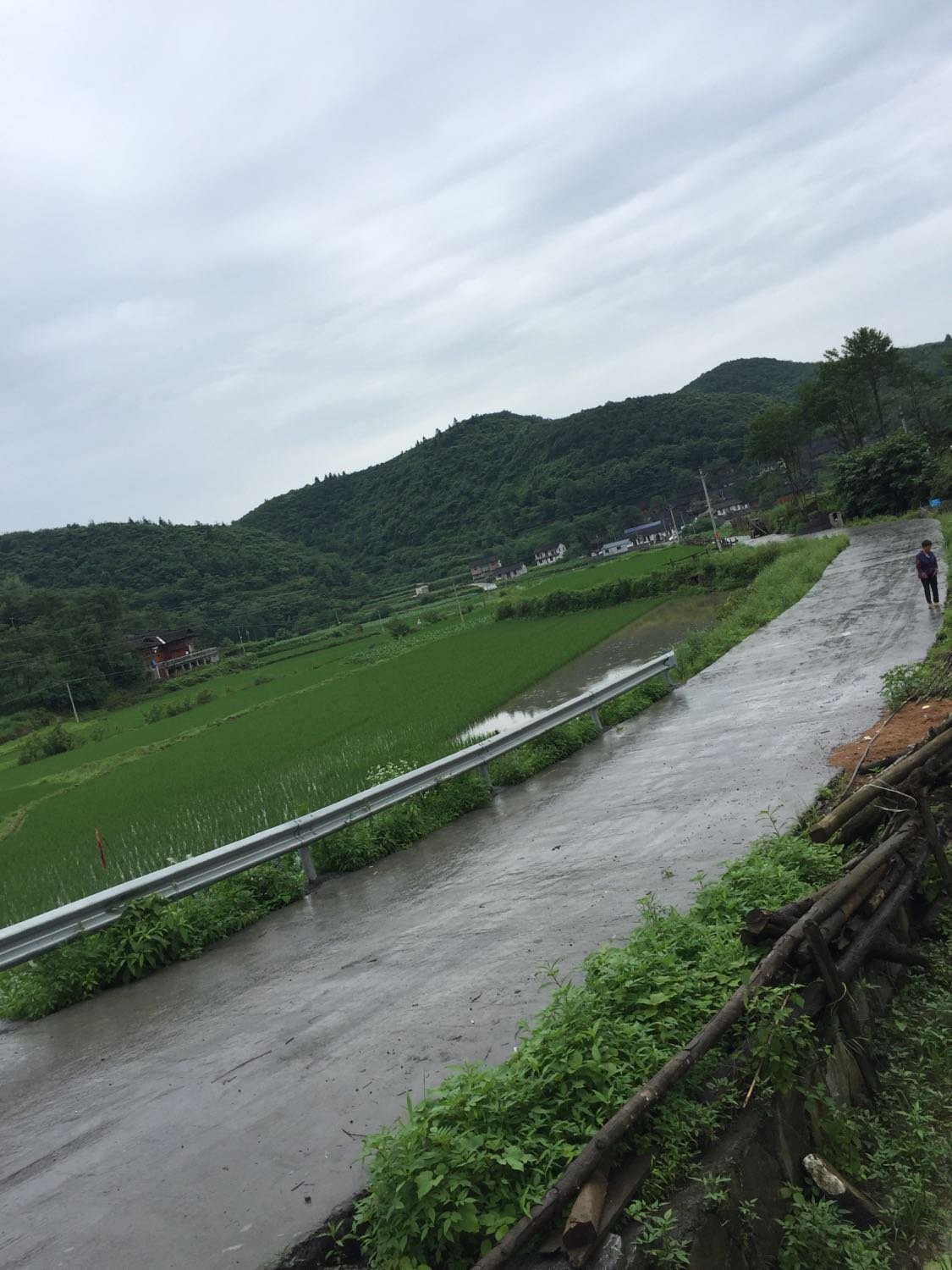 万塘乡天气预报更新通知