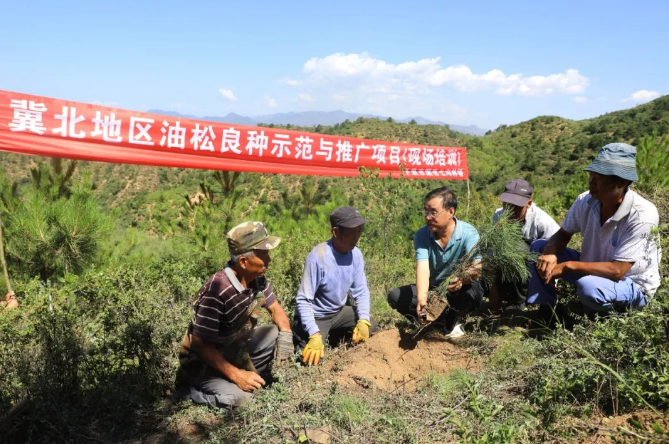 朝鲁吐林场最新新闻动态报道速递